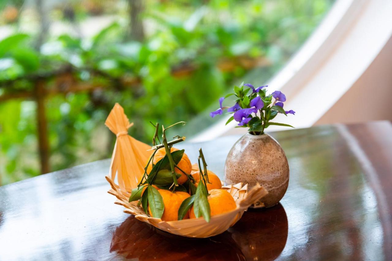 Binh Minh Eco Lodge Кантхо Екстер'єр фото